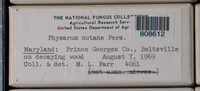 Image Associated With the Occurence